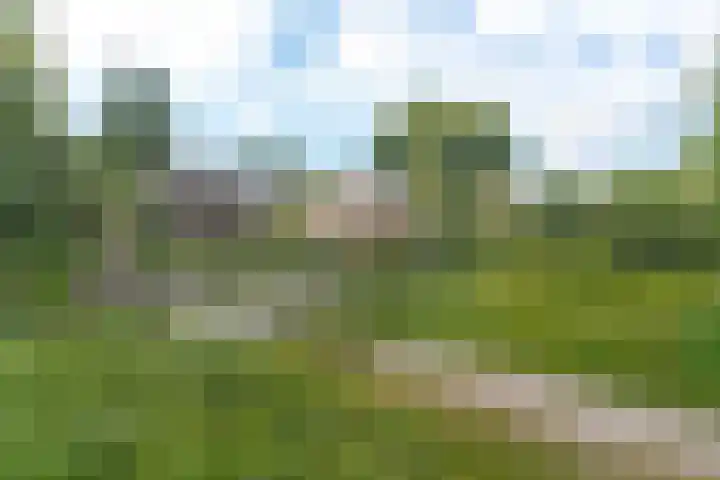 Potmarge 52 Zwolle thumbnail 42