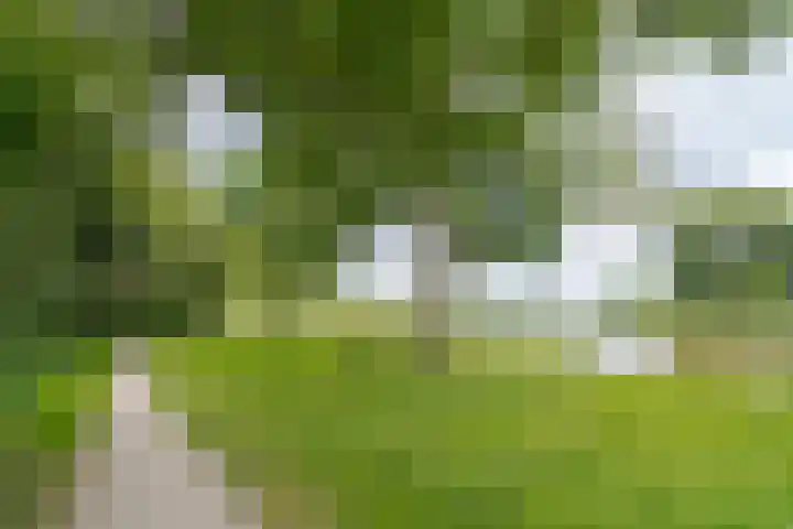 Potmarge 52 Zwolle thumbnail 43