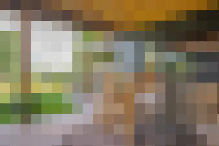 Potmarge 52 Zwolle thumbnail 5
