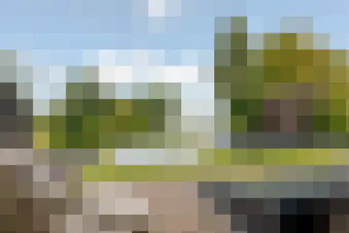 Potmarge 52 Zwolle thumbnail 50