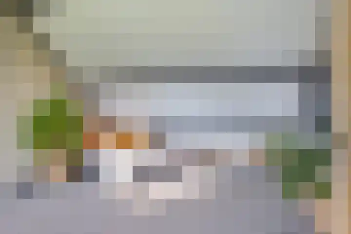 Potmarge 52 Zwolle thumbnail 63