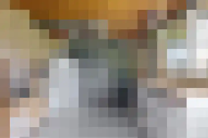 Potmarge 52 Zwolle thumbnail 67