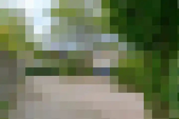 Potmarge 52 Zwolle thumbnail 69