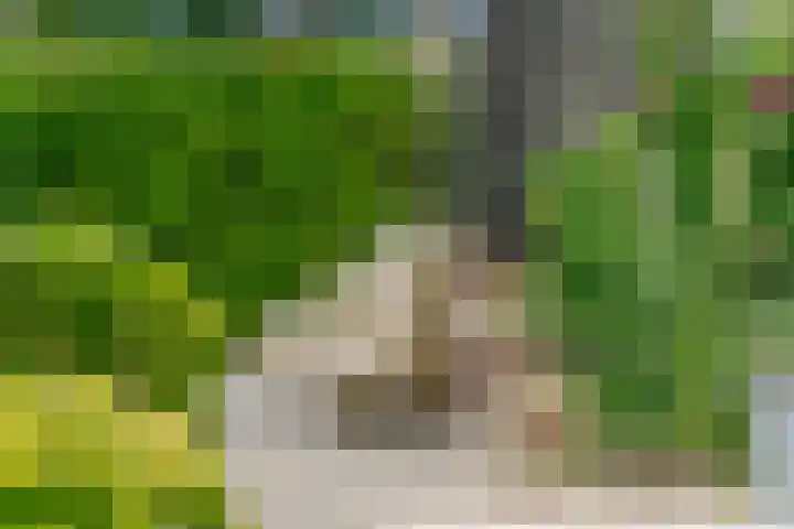 Potmarge 52 Zwolle thumbnail 7