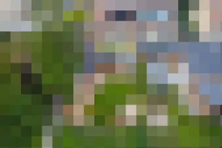 Potmarge 52 Zwolle thumbnail 70