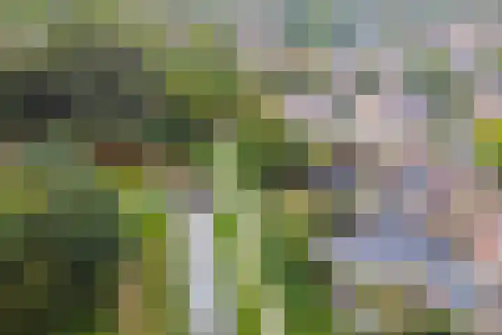 Potmarge 52 Zwolle thumbnail 71