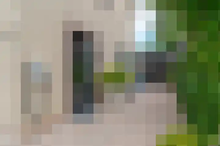 Potmarge 52 Zwolle thumbnail 9