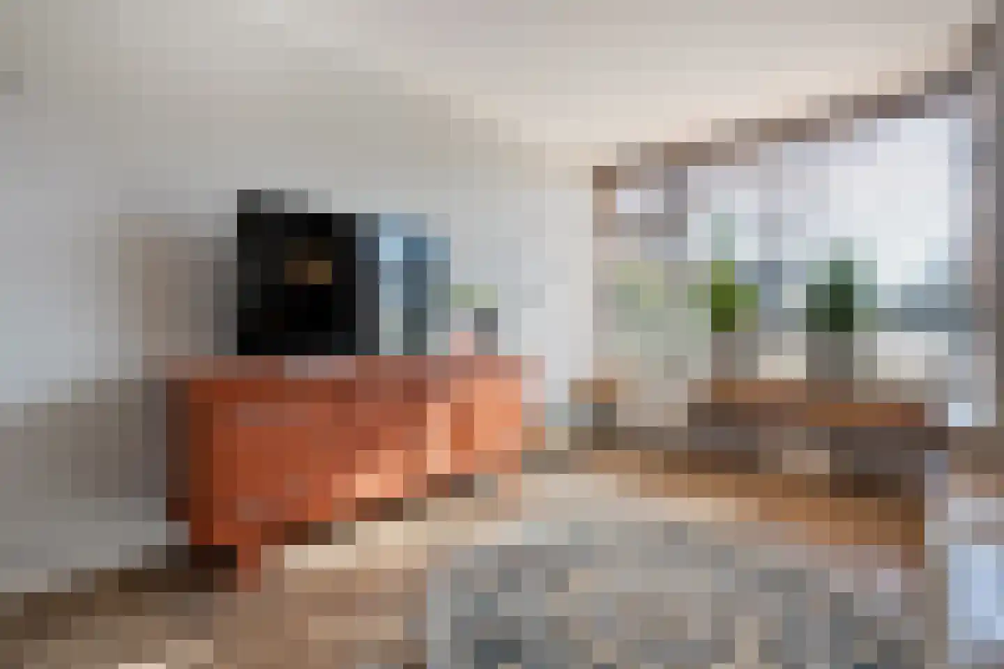 Potmarge 54 Zwolle thumbnail 22