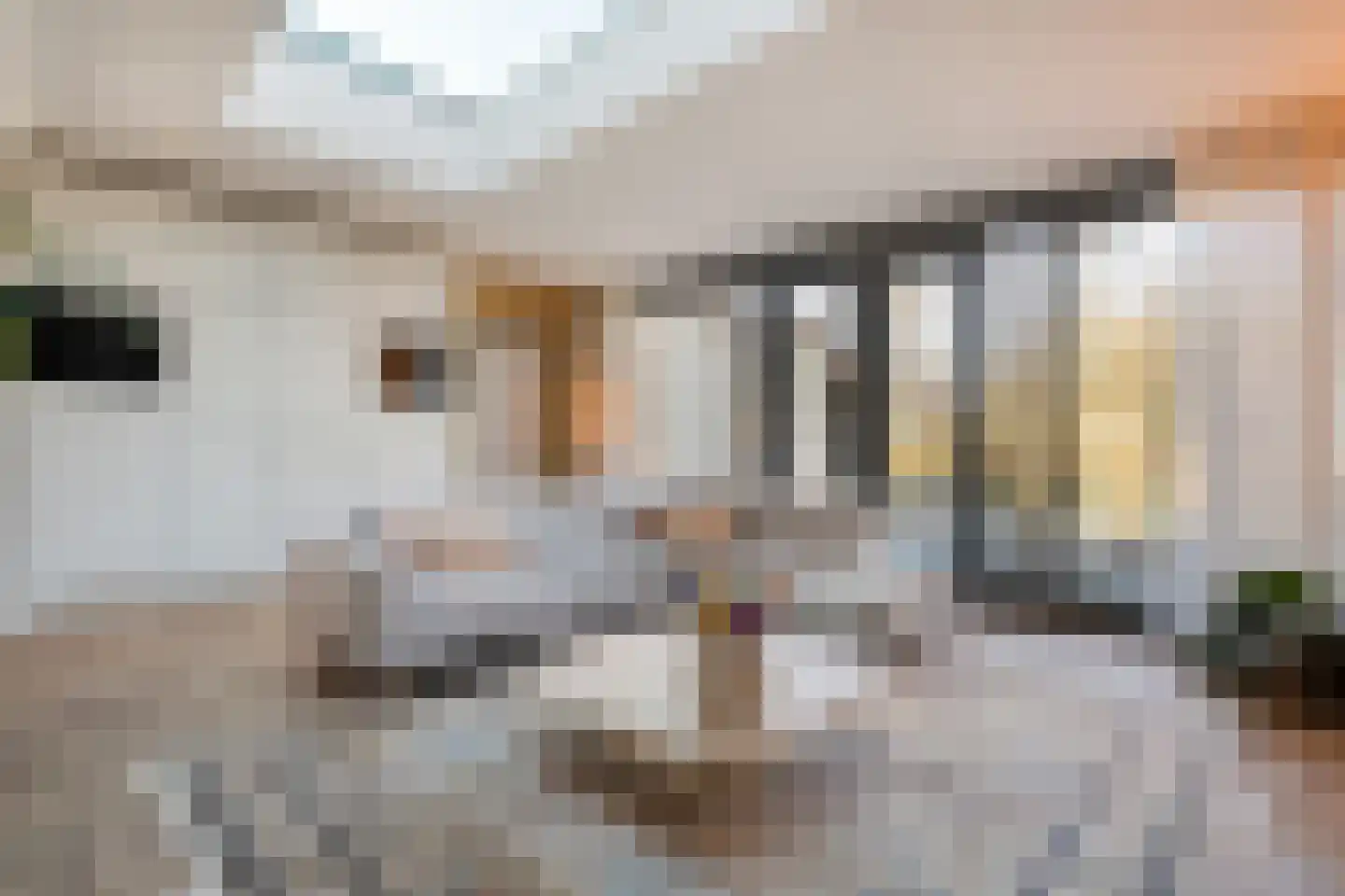 Potmarge 54 Zwolle thumbnail 24