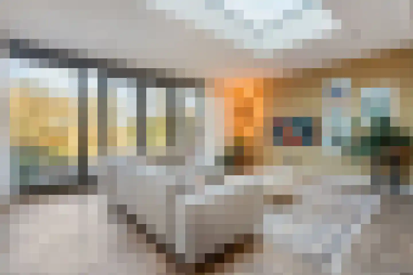 Potmarge 54 Zwolle thumbnail 25
