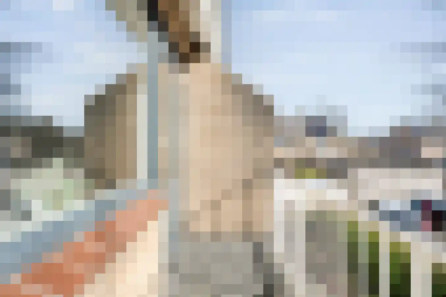 Potmarge 54 Zwolle thumbnail 44