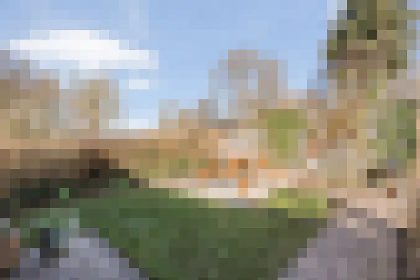 Potmarge 54 Zwolle thumbnail 61