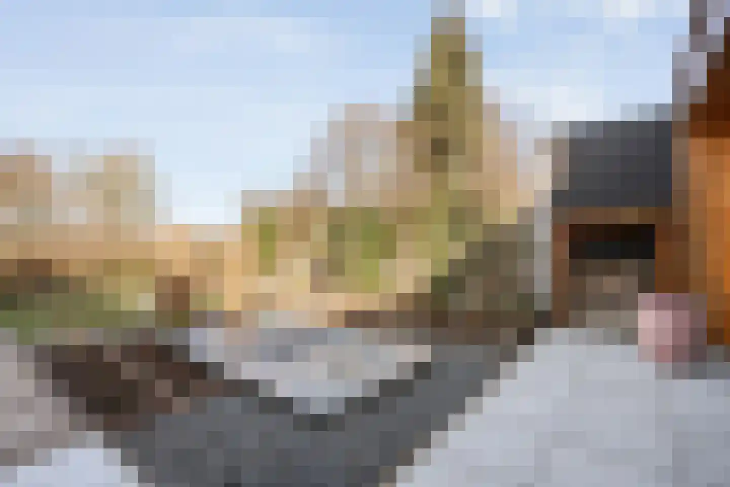 Potmarge 54 Zwolle thumbnail 64