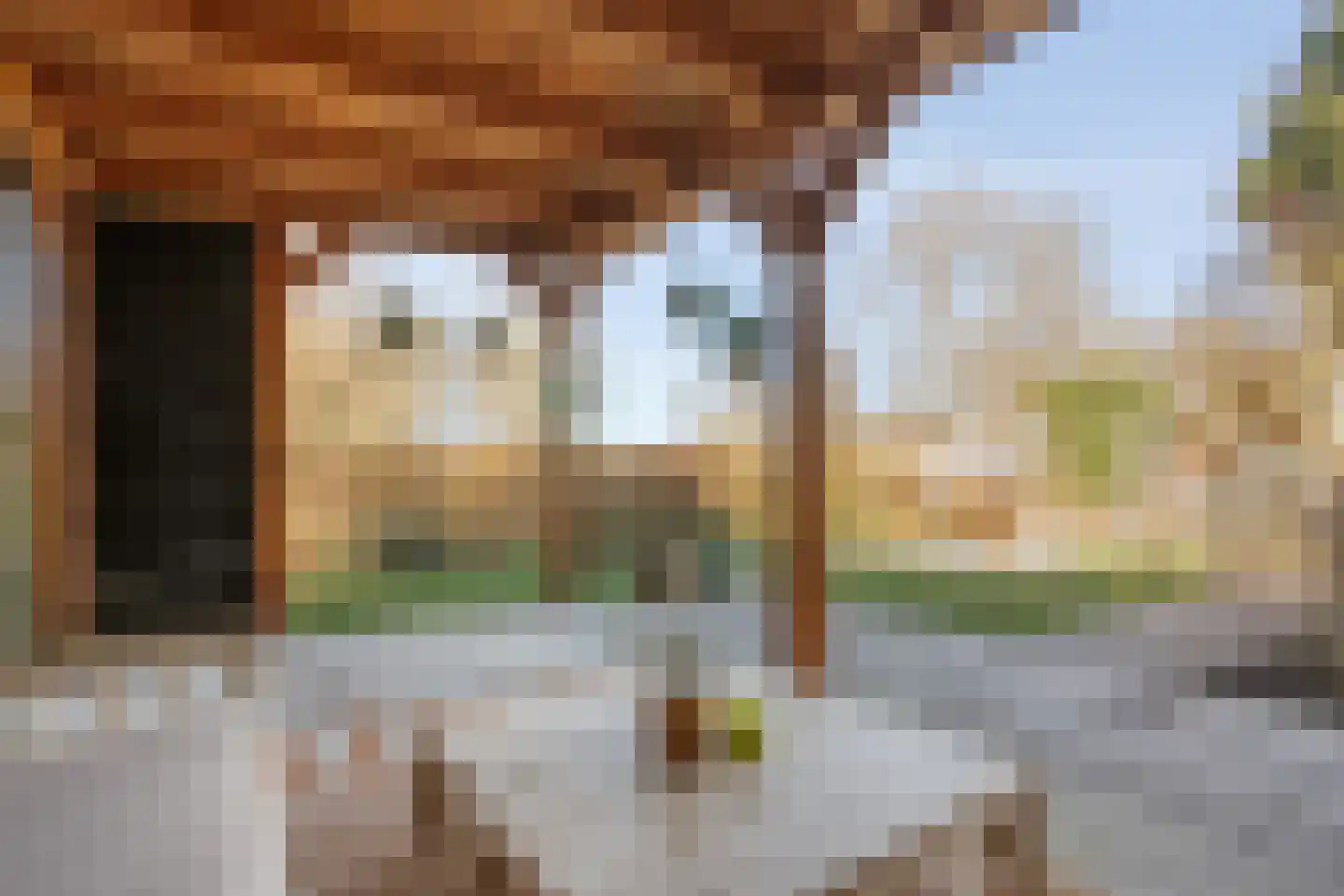 Potmarge 54 Zwolle thumbnail 66