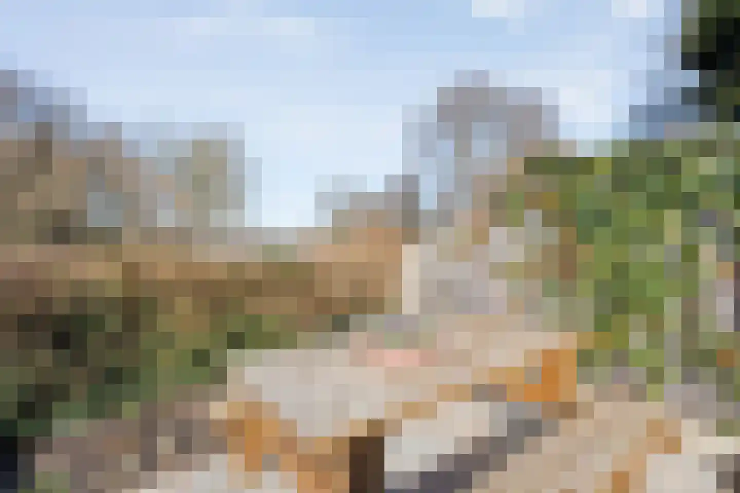 Potmarge 54 Zwolle thumbnail 68