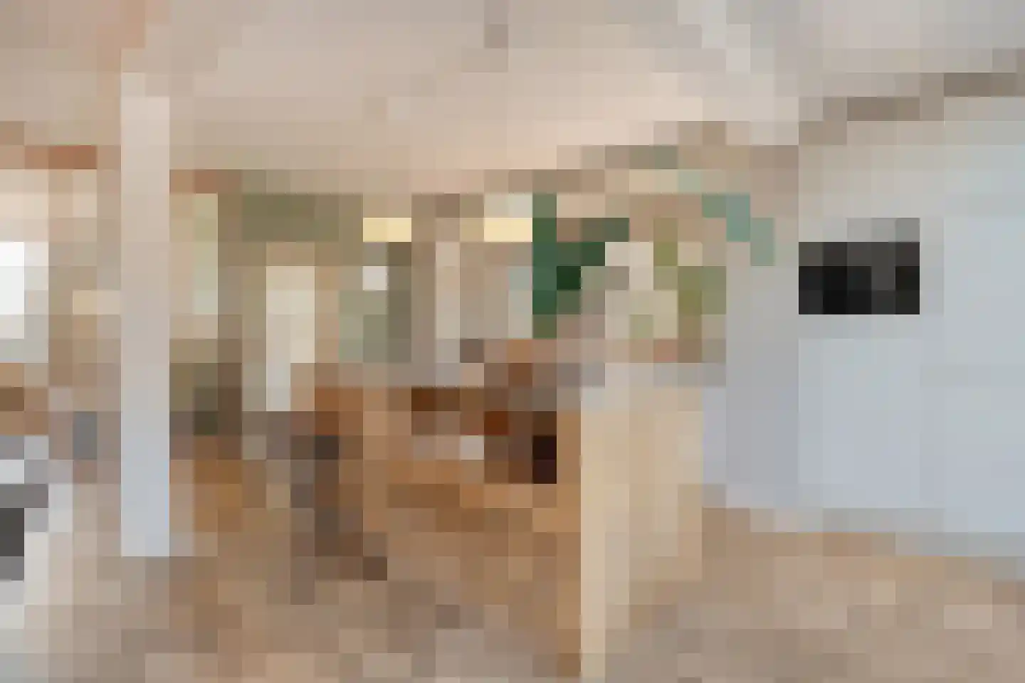 Potmarge 54 Zwolle thumbnail 7