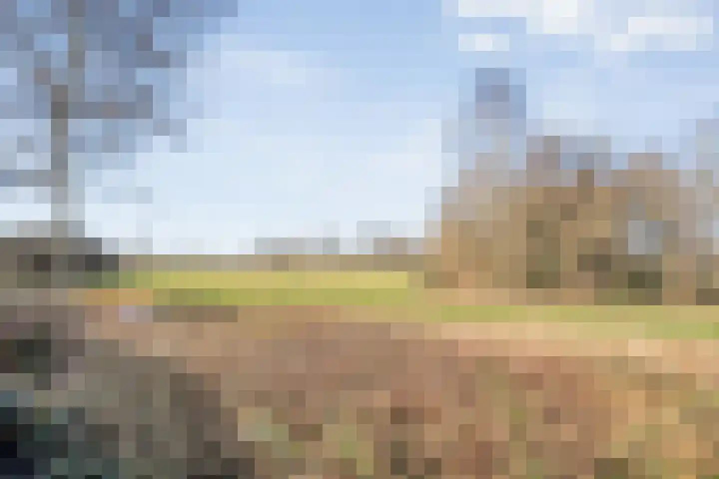Potmarge 54 Zwolle thumbnail 70