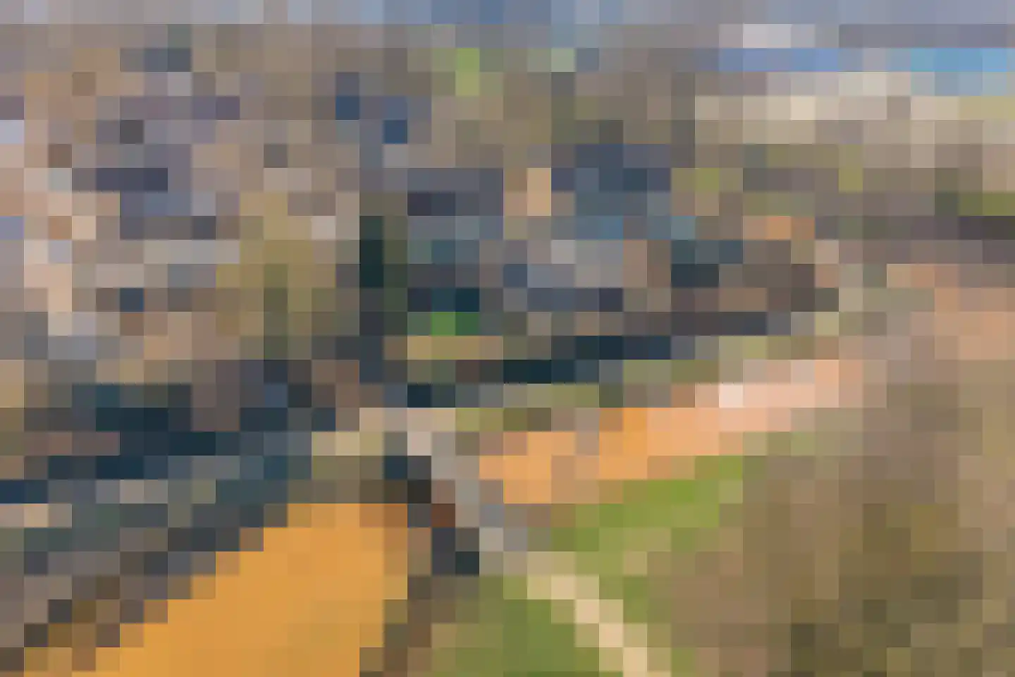 Potmarge 54 Zwolle thumbnail 72