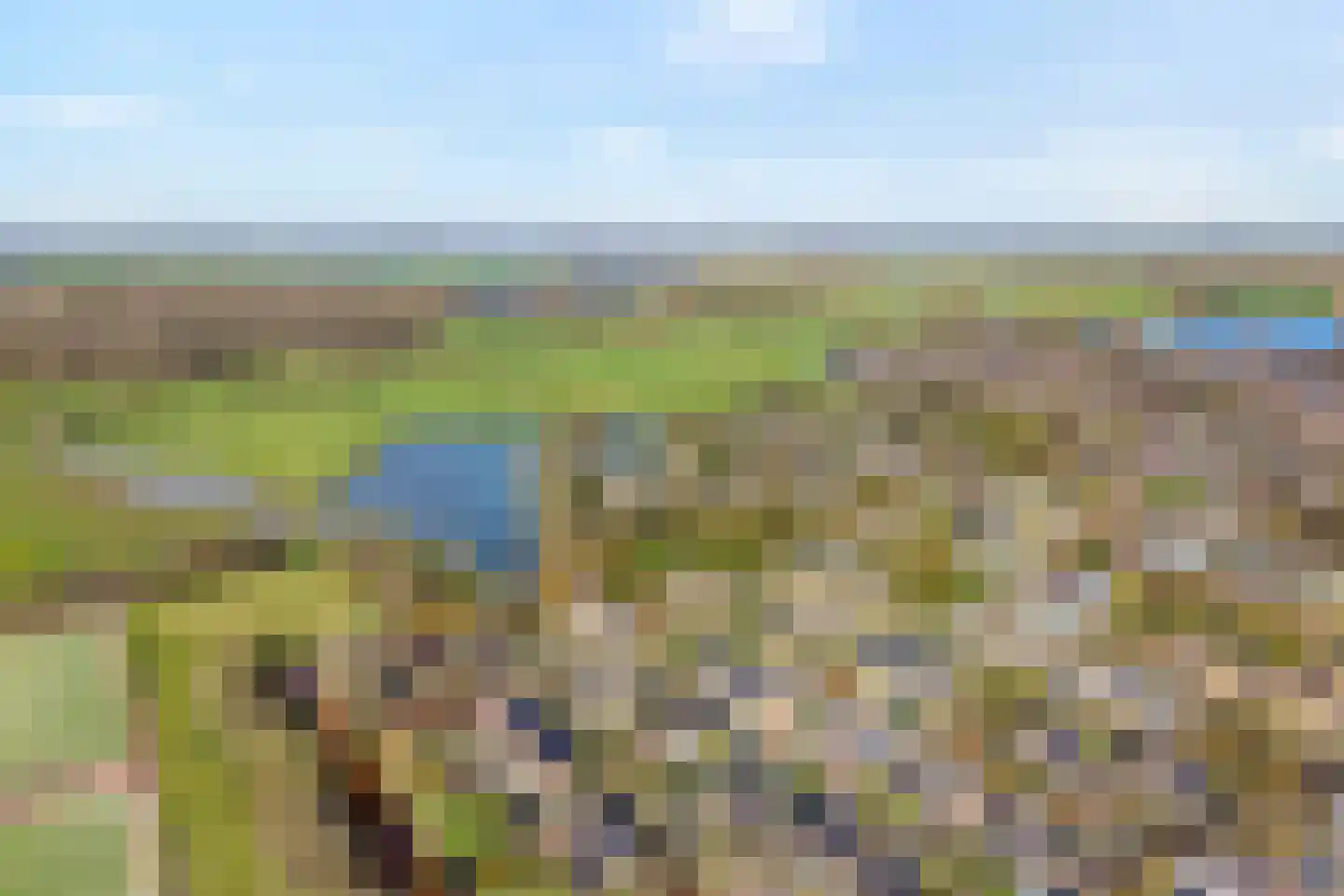 Potmarge 54 Zwolle thumbnail 73