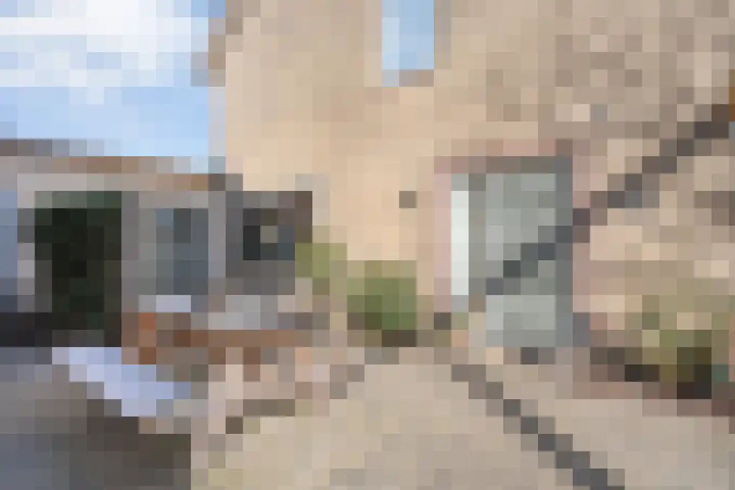 Potmarge 54 Zwolle thumbnail 78