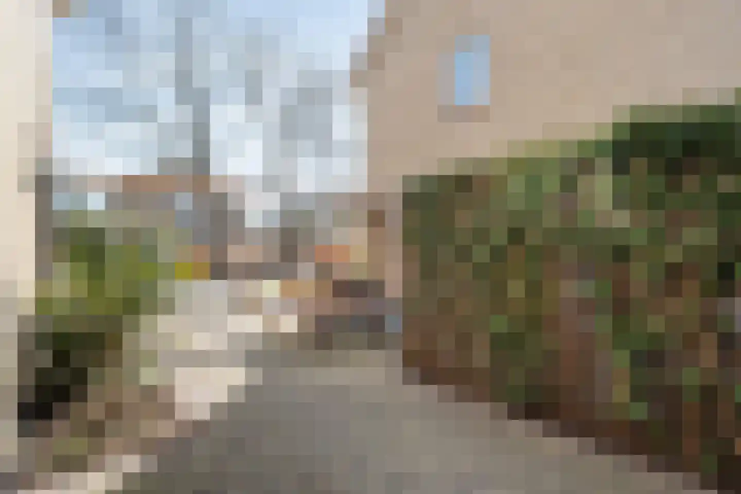 Potmarge 54 Zwolle thumbnail 79