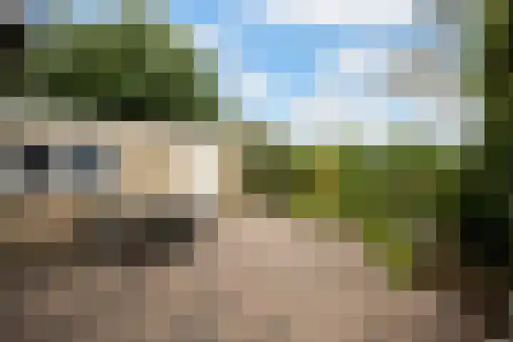 Potmarge 58 Zwolle thumbnail 30