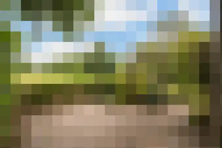 Potmarge 58 Zwolle thumbnail 31