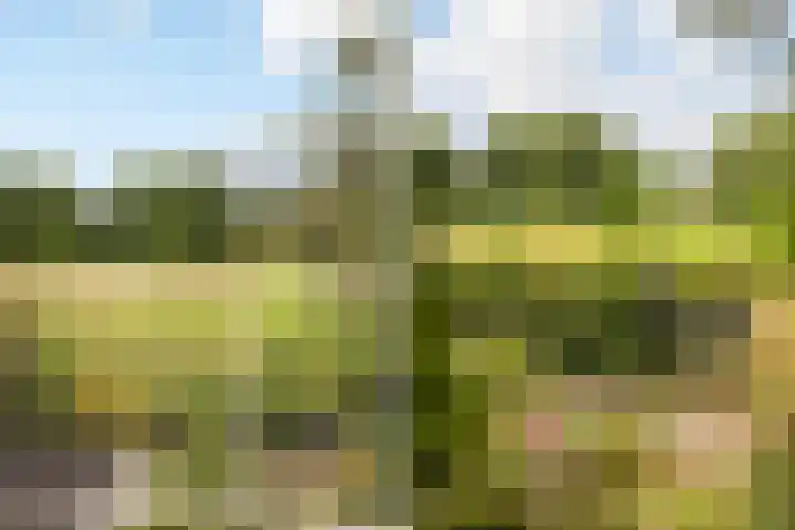 Potmarge 58 Zwolle thumbnail 32