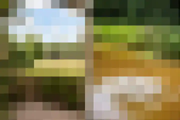 Potmarge 58 Zwolle thumbnail 33