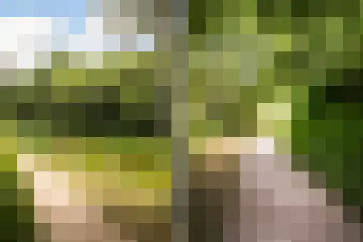 Potmarge 58 Zwolle thumbnail 34