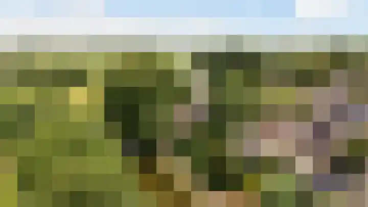 Potmarge 58 Zwolle thumbnail 36