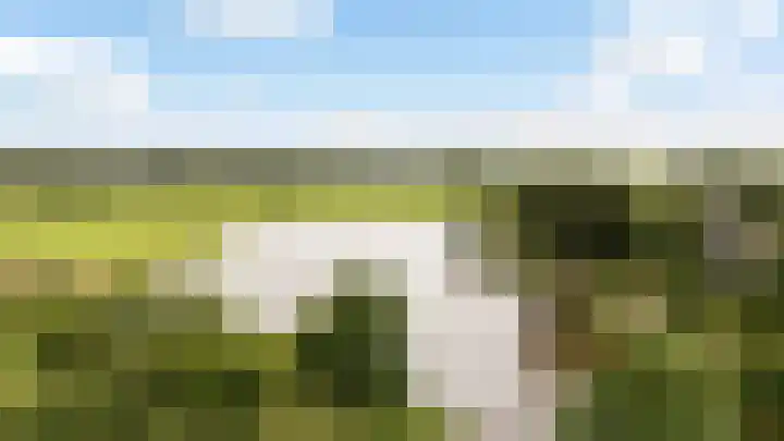 Potmarge 58 Zwolle thumbnail 37