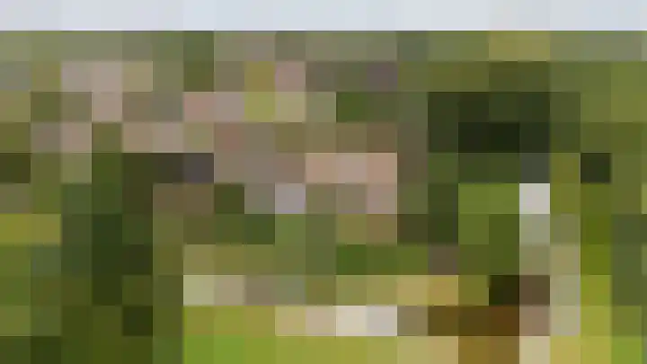 Potmarge 58 Zwolle thumbnail 38