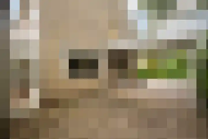 Potmarge 58 Zwolle thumbnail 4