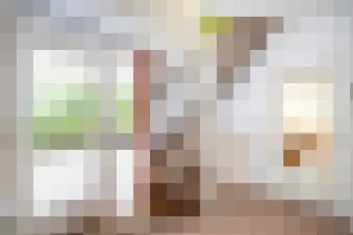 Potmarge 58 Zwolle thumbnail 5