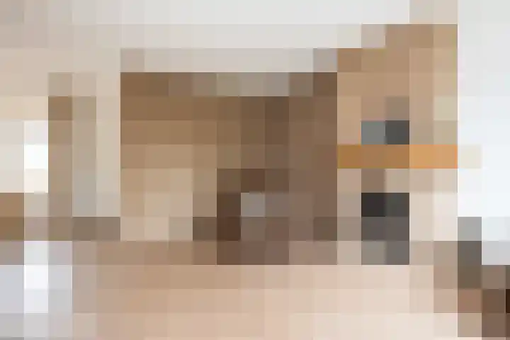 Potmarge 58 Zwolle thumbnail 8