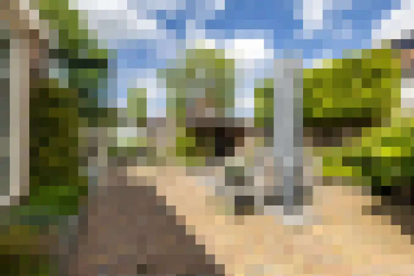 Potmeer 1 Vinkeveen thumbnail 10