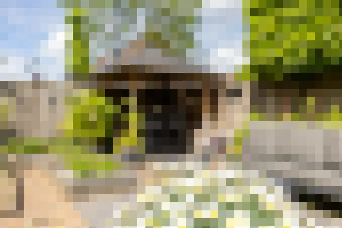 Potmeer 1 Vinkeveen thumbnail 11