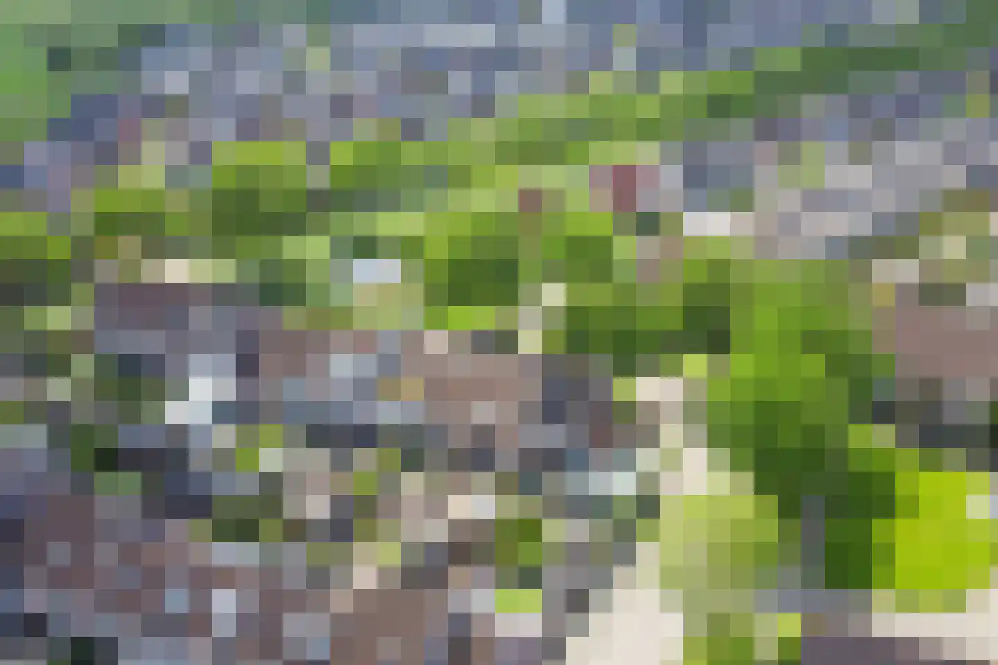 Potmeer 1 Vinkeveen thumbnail 26