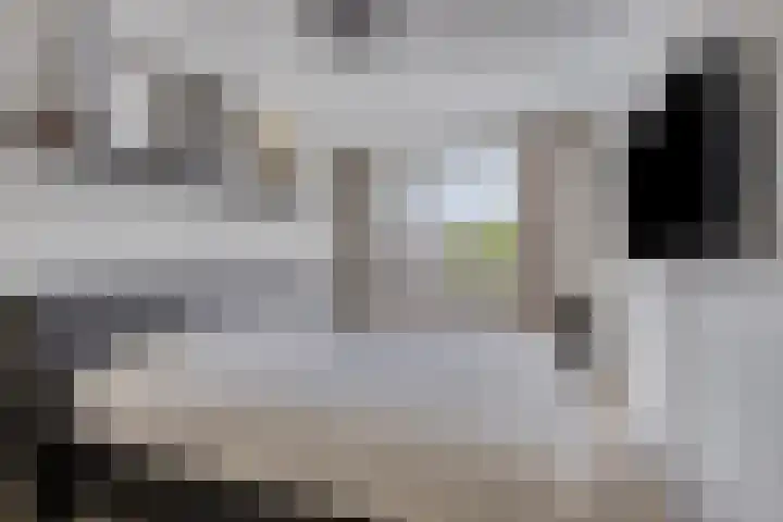 Potmeer 10 Steenbergen thumbnail 10