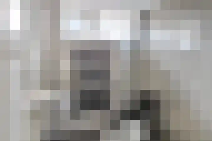 Potmeer 10 Steenbergen thumbnail 16