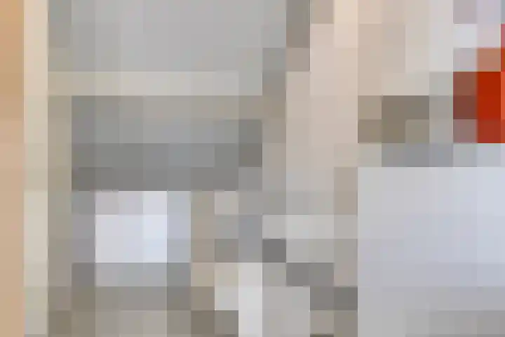 Potmeer 10 Steenbergen thumbnail 19