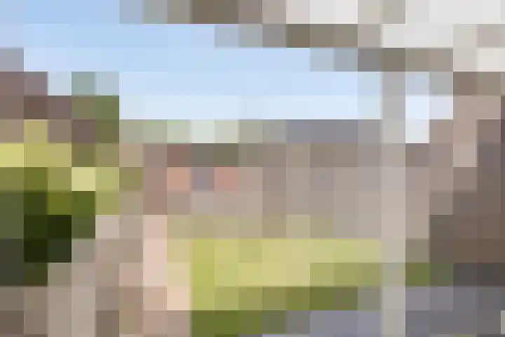 Potmeer 10 Steenbergen thumbnail 22