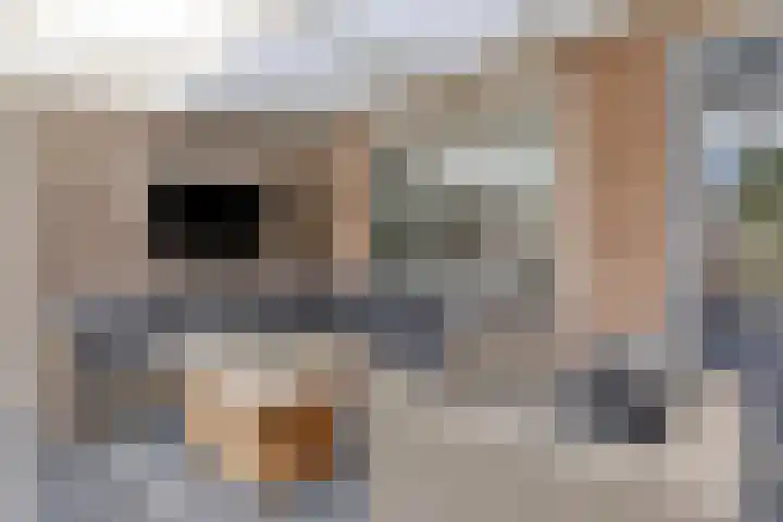 Potmeer 10 Steenbergen thumbnail 25