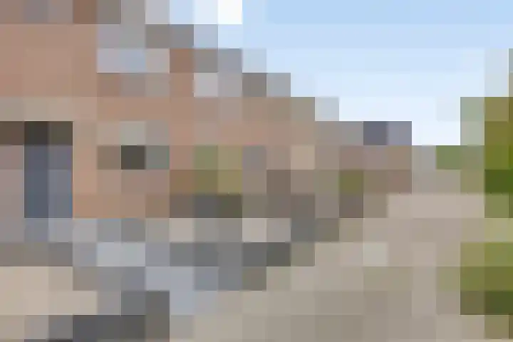 Potmeer 10 Steenbergen thumbnail 26