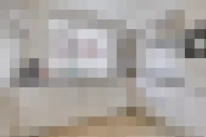 Potmeer 10 Steenbergen thumbnail 4