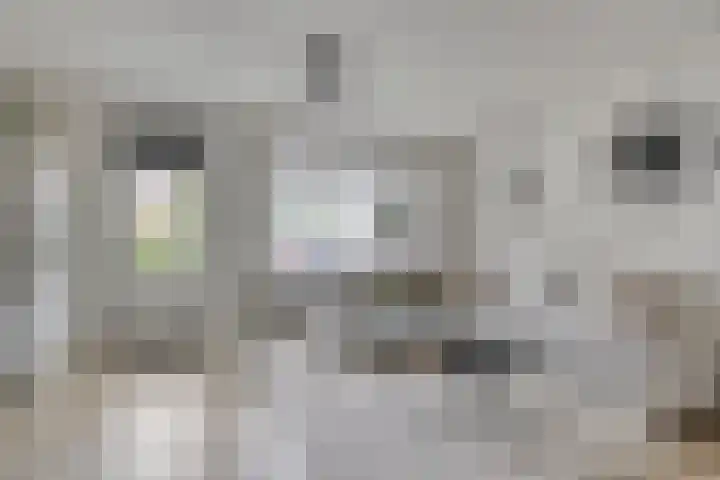 Potmeer 10 Steenbergen thumbnail 5