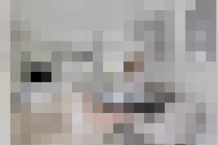 Potmeer 10 Steenbergen thumbnail 6