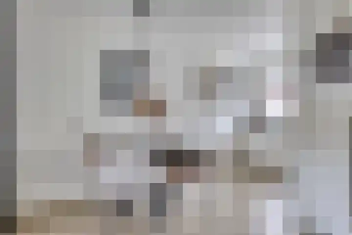 Potmeer 10 Steenbergen thumbnail 7