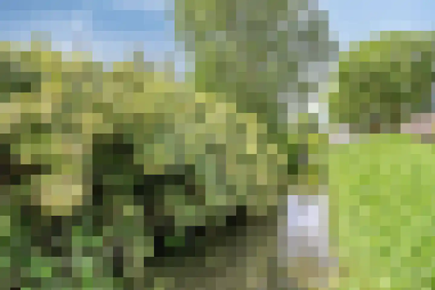 Potmeer 6 Steenbergen thumbnail 37